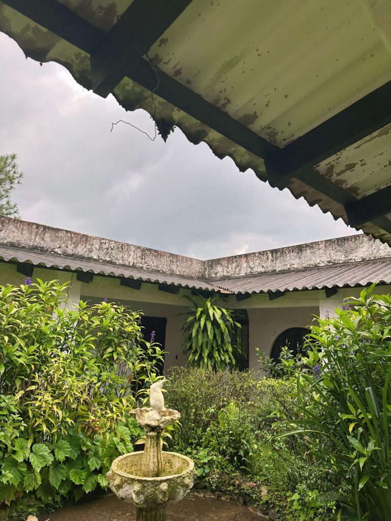 Antón