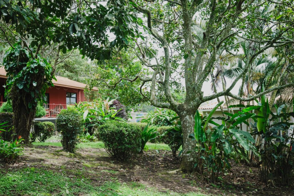 Panamá