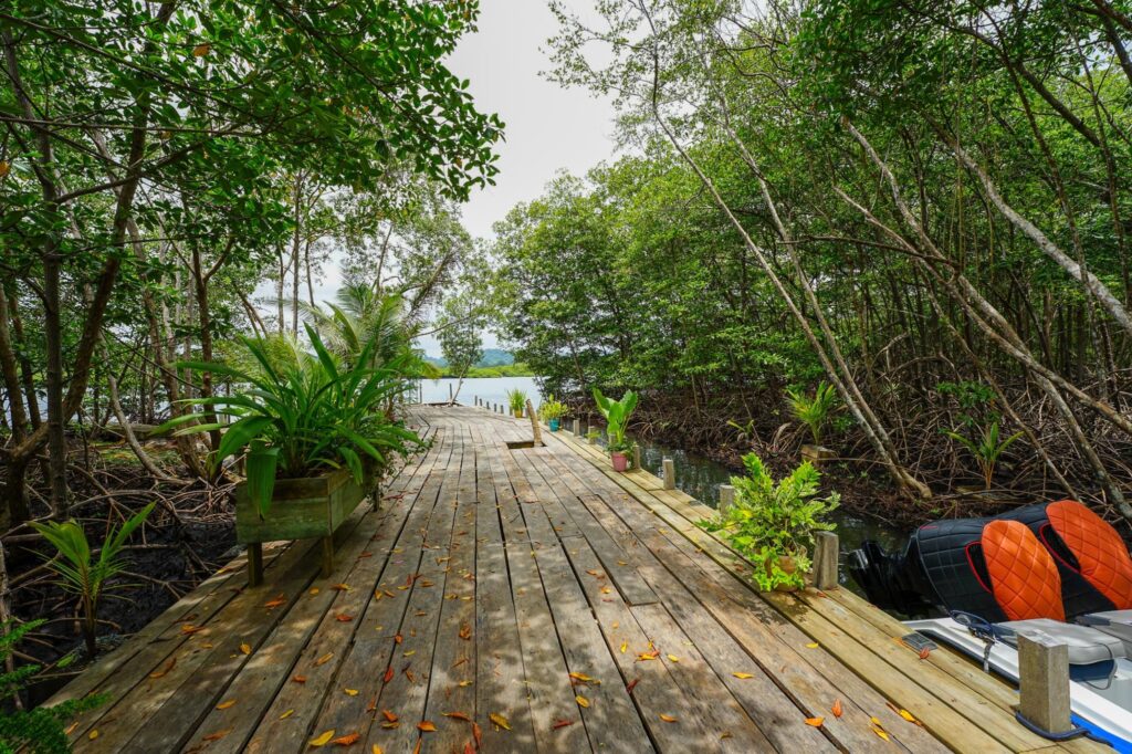 Jungle Lodge Concept in Bocas del Toro