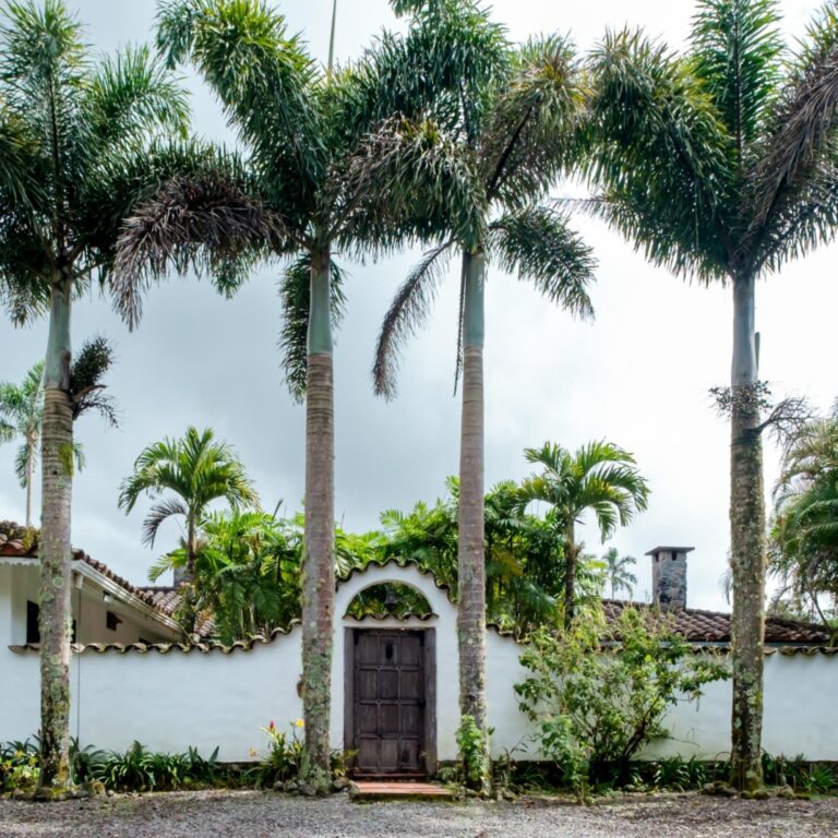 LUXURY FAMILY ESTATE IN VOLCAN