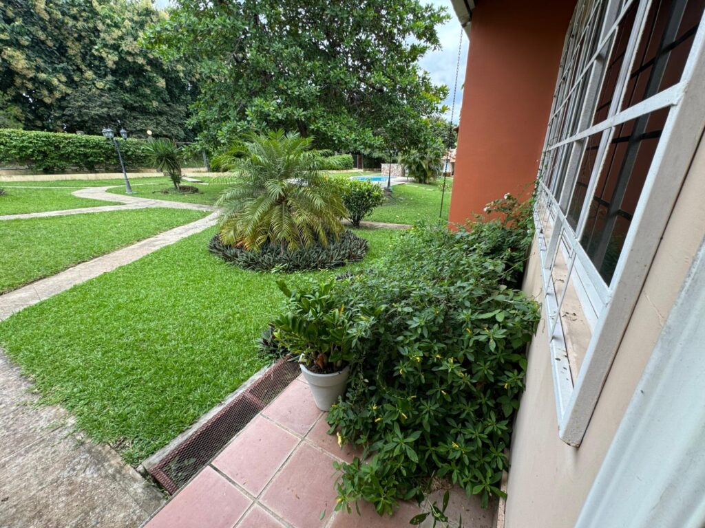 San Carlos