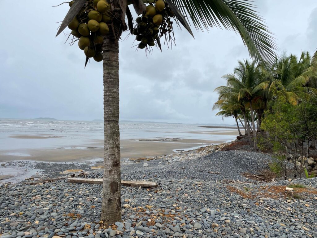 Chiriqui