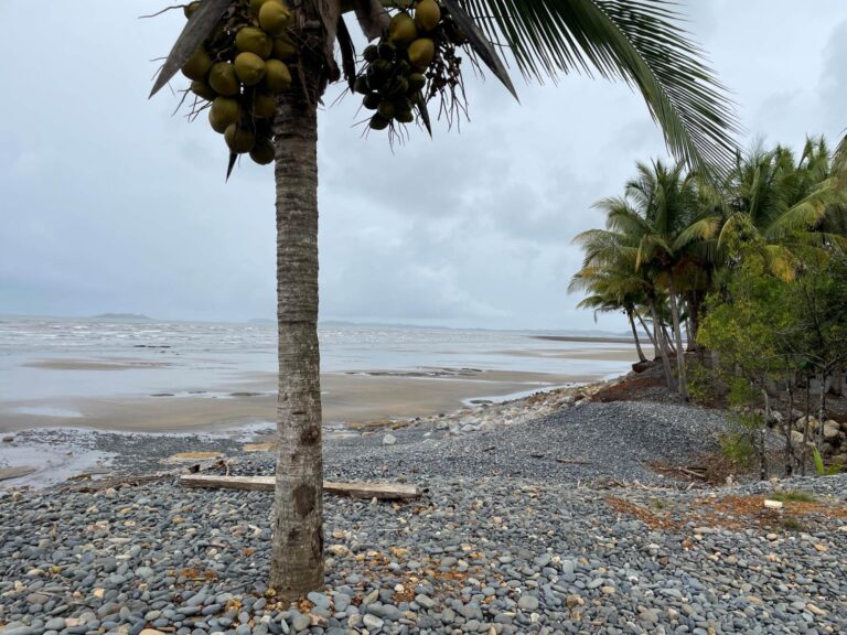 Chiriqui