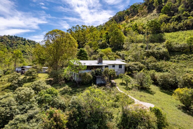 Vacant Land Volcan
