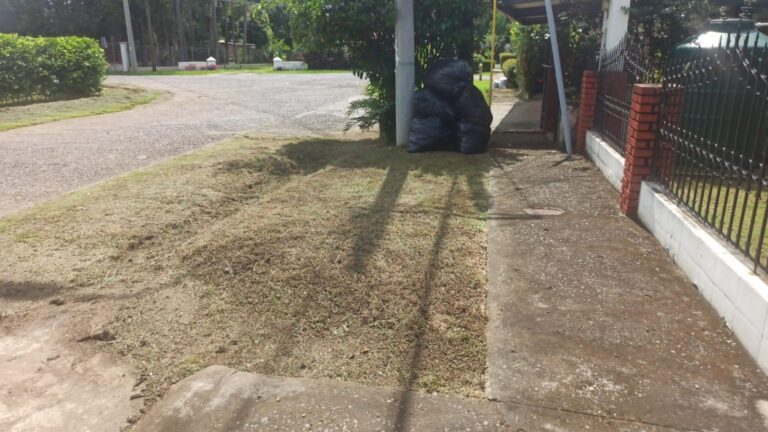 residencia en Villa Olga