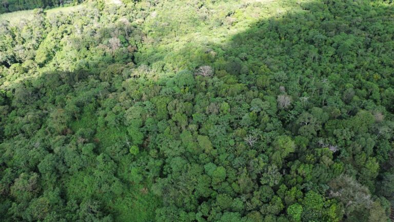 24 Acre Lot for Sale in Potrerillos Arri