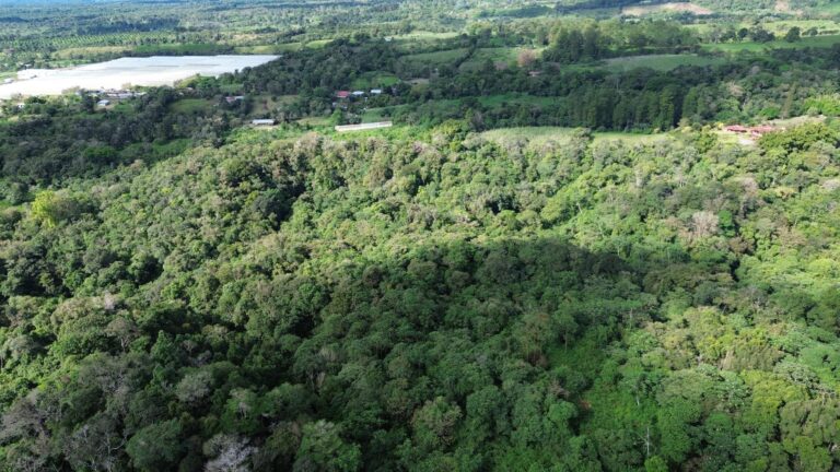 Chiriqui