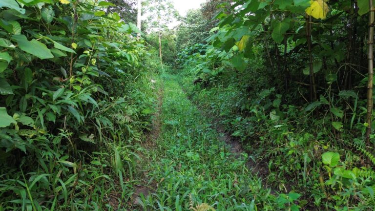 Finca En Venta