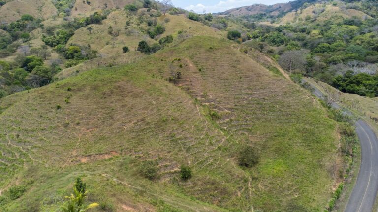 5 Hectares Property For Sale in Cambutal
