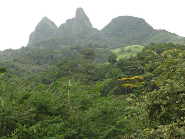 Finca En Venta