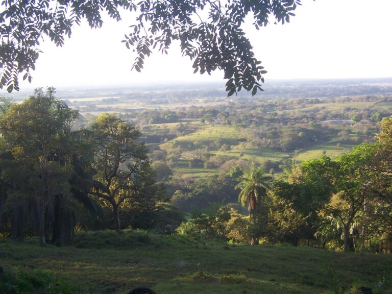 Chiriqui