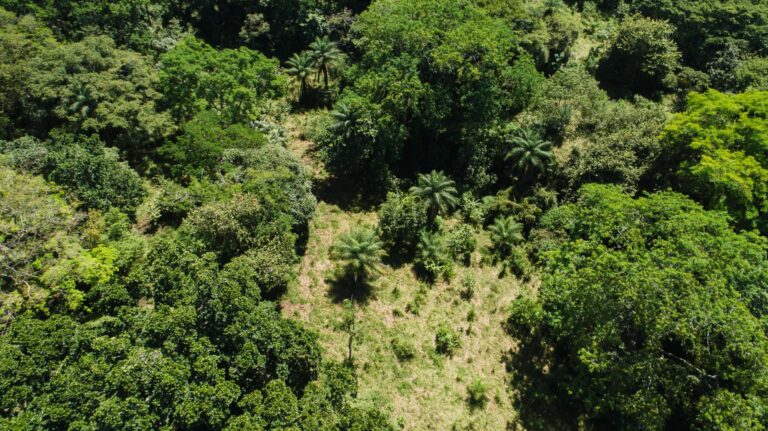 Finca En Venta