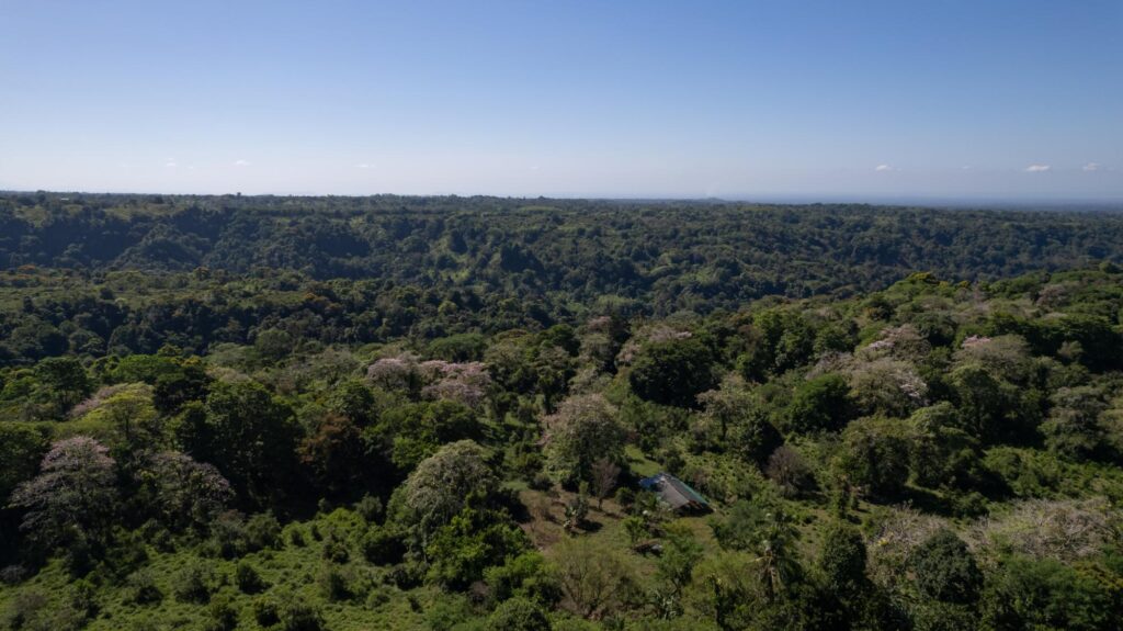 FINCA