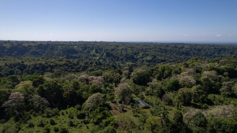 FINCA
