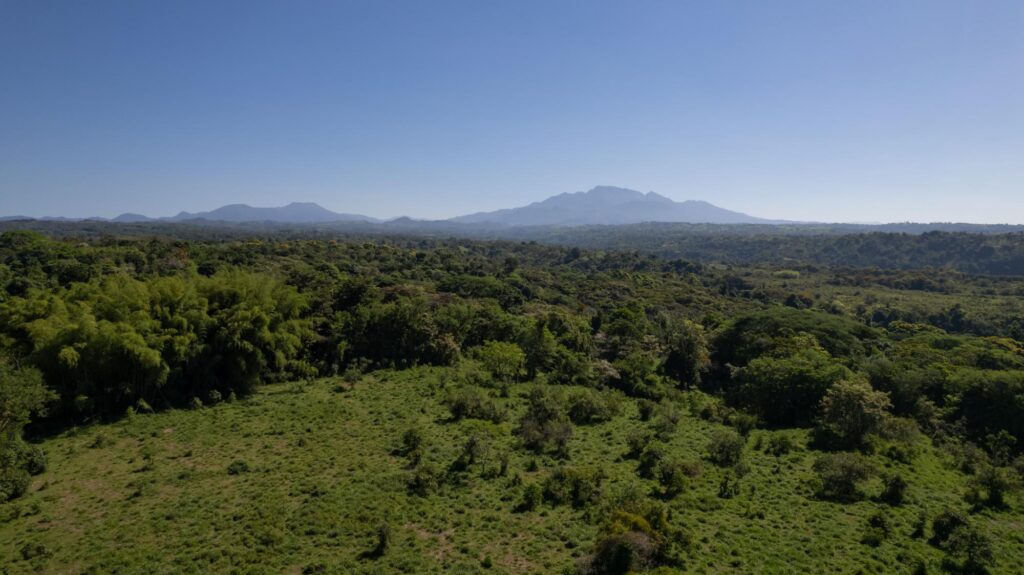 Finca En Venta