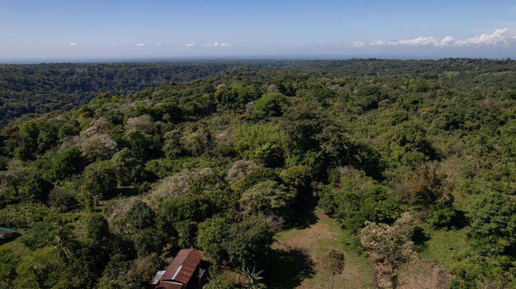 Chiriqui