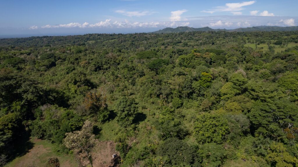 Panamá