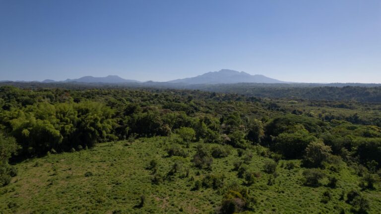 Finca En Venta