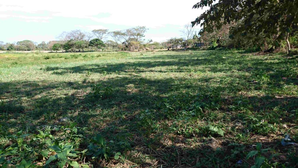 FINCA EN ANTON