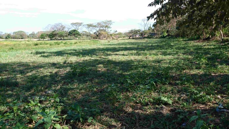 FINCA EN ANTON