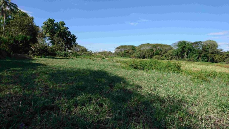 Finca En Venta