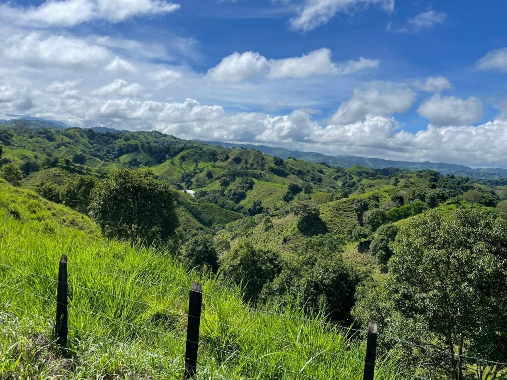 FINCA PRIMAVERA_VOLCÁN CHIRIQUI
