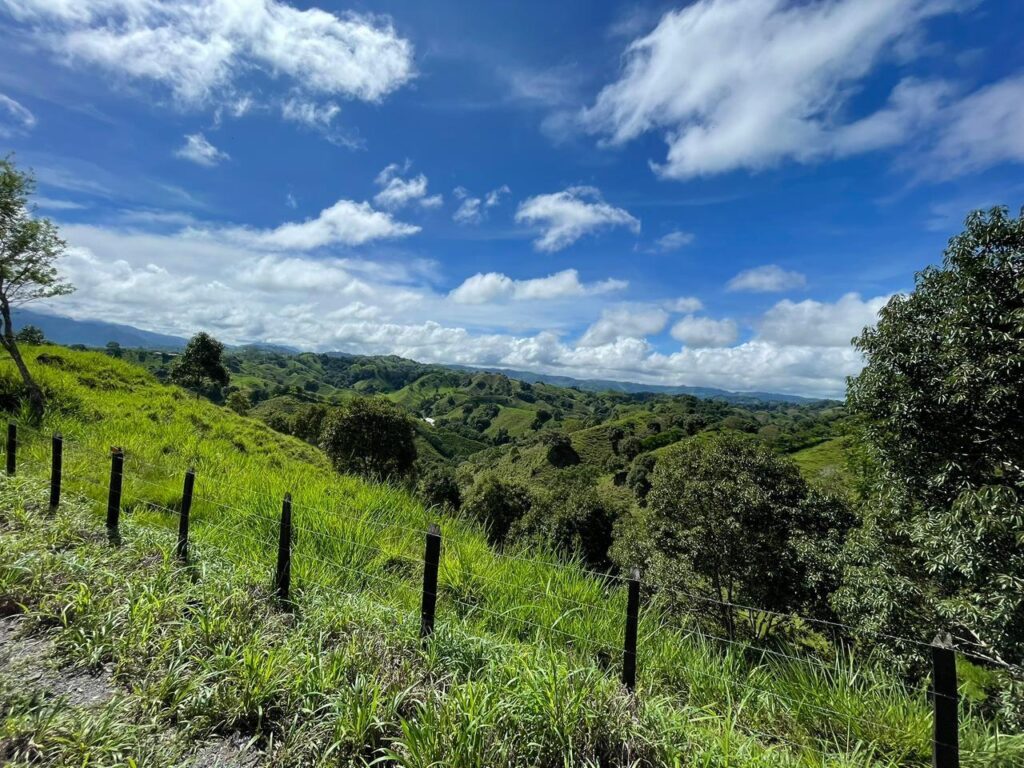 Chiriqui