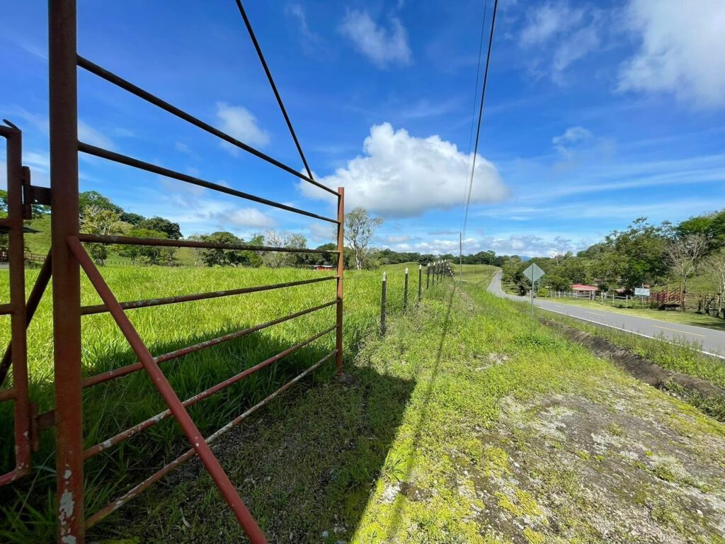 Finca-En-Venta-FINCA-PRIMAVERA_VOLCAN-CHIRIQUI-Bugaba-Chiriqui-Panama-5