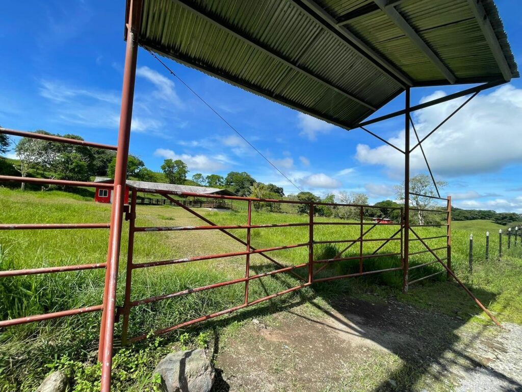 Finca-En-Venta-FINCA-PRIMAVERA_VOLCAN-CHIRIQUI-Bugaba-Chiriqui-Panama-6