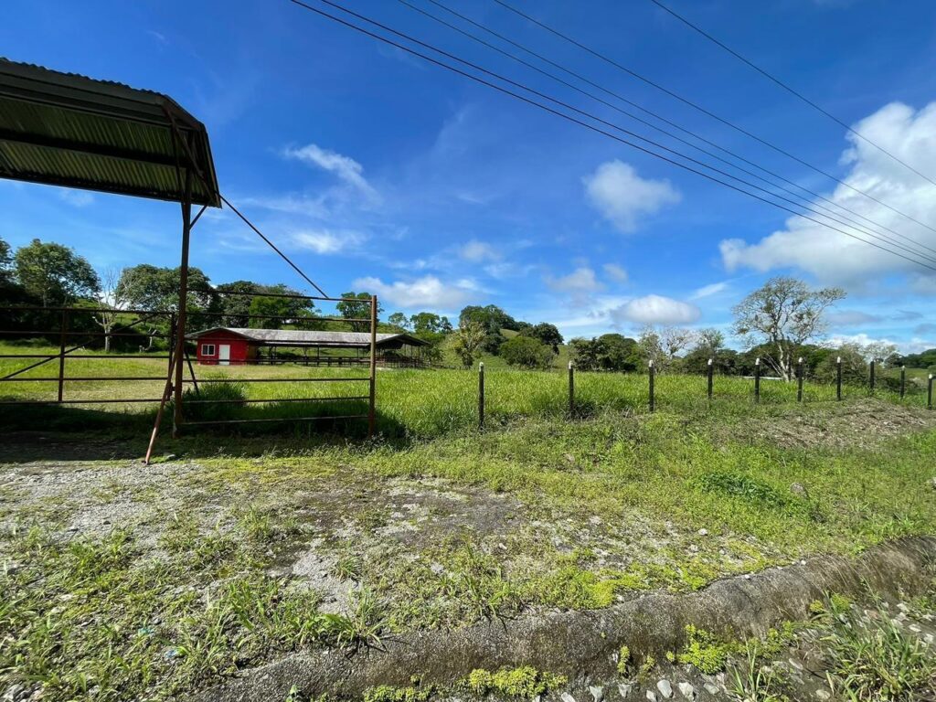 Finca-En-Venta-FINCA-PRIMAVERA_VOLCAN-CHIRIQUI-Bugaba-Chiriqui-Panama-7