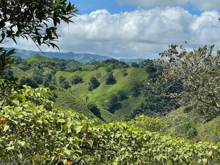 Finca En Venta