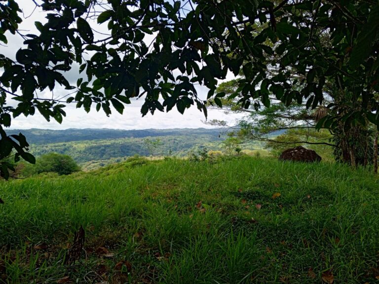 Chiriqui