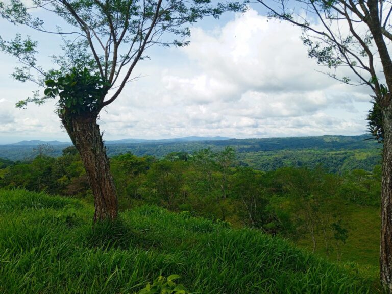 Finca En Venta