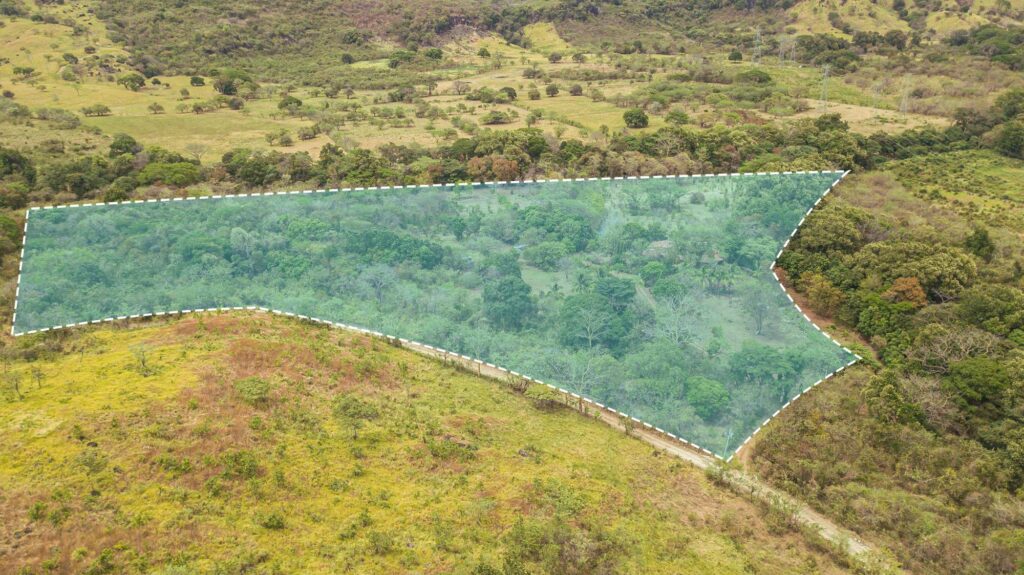Finca 6.4 Has. Cabuya