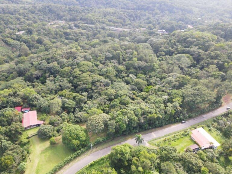 Finca 7