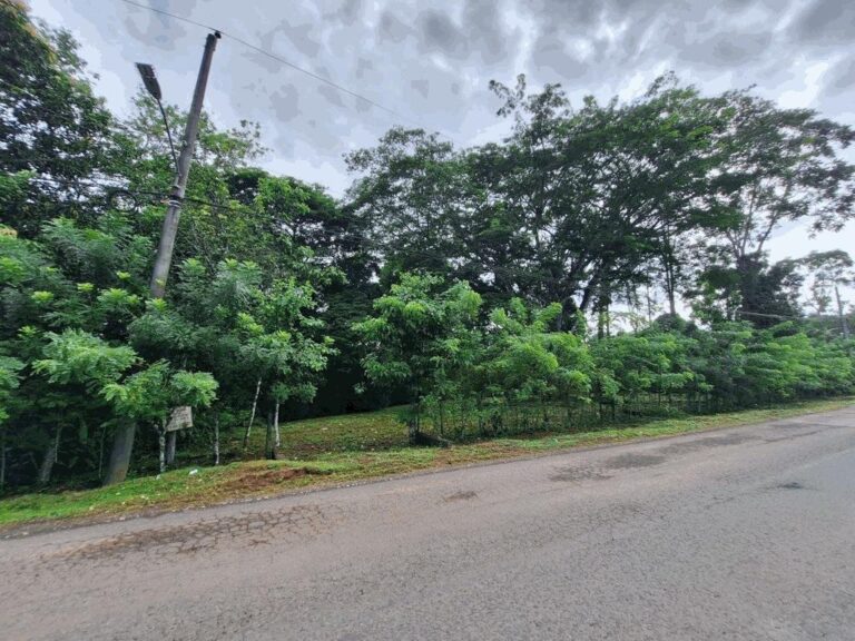 Finca En Venta