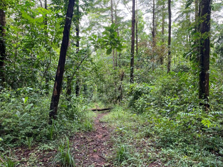 Finca Las Lajas