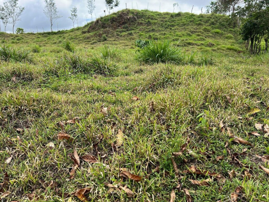Chiriqui