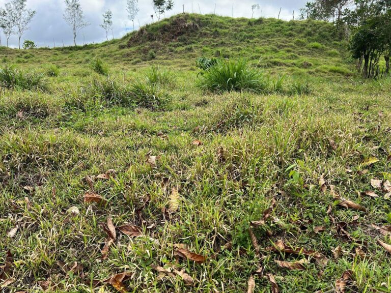 Chiriqui