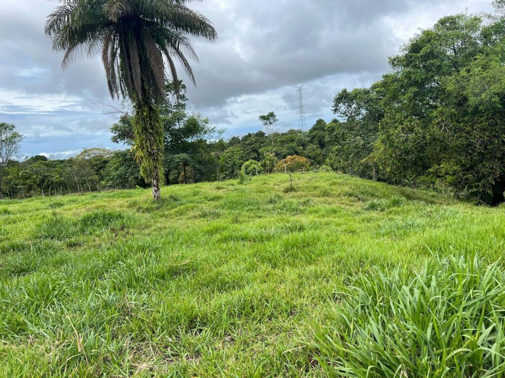 Panamá