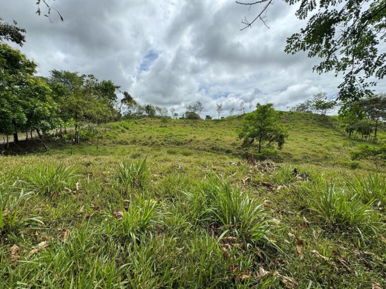 Finca En Venta