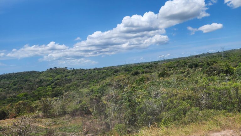 Finca de 24has + 6