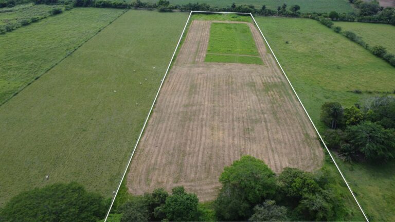 Finca En Venta