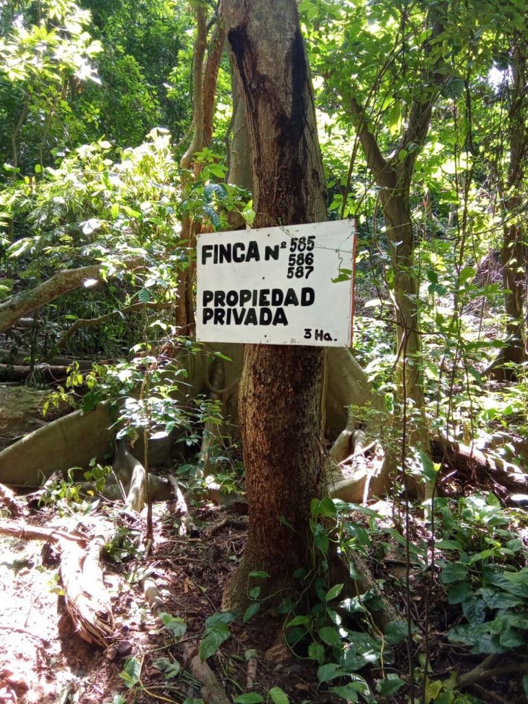 Finca En Venta