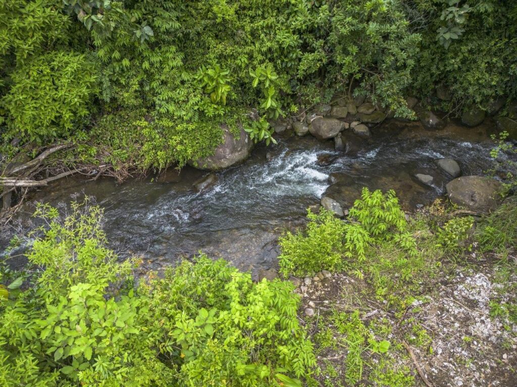 Bajo potrerillos