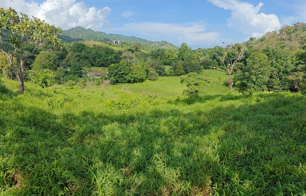 HM Bienes Raices
