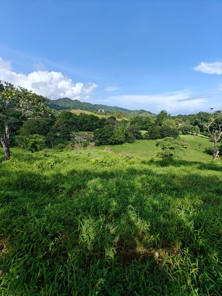 Finca En Venta