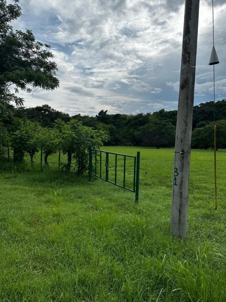 Panamá