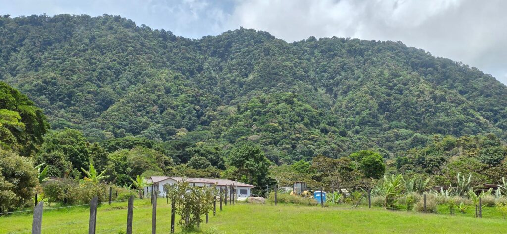 Chiriqui