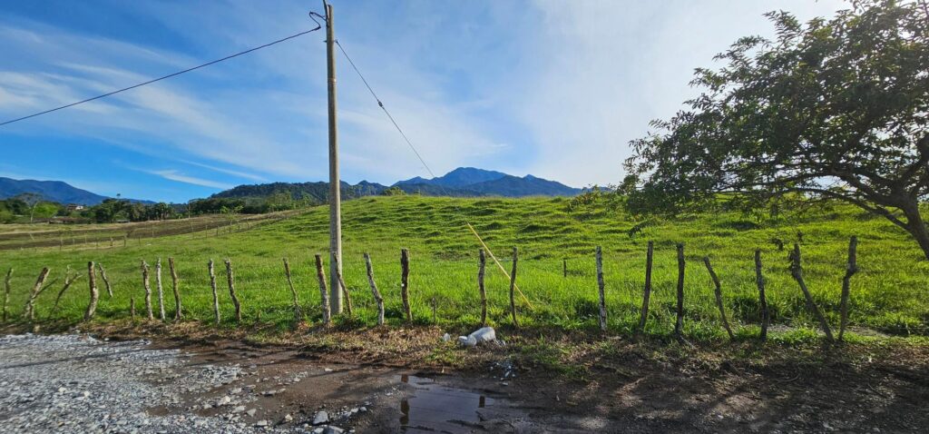 Chiriqui